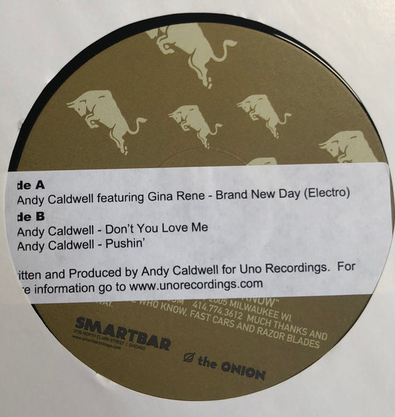 Andy Caldwell ‎– Brand New Day (Electro) / Don't You Love Me / Pushin' - Mint 12" Single Record 2005 AREA DJ Smartbar May - Chicago House / Electro