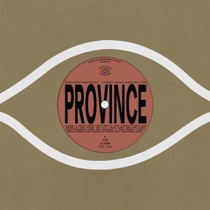 Bartees Strange, Eric Slick, Ohmme / Anjimile – Province / Ever New - New 7" Single Record 2022 Psychic Hotline Vinyl - Indie Rock
