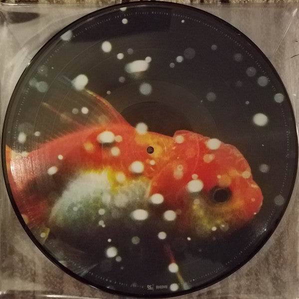 Autographed - Vince Staples – Big Fish Theory - Mint- 2 LP Record 2017 Def Jam Picture Disc Vinyl & Numbered - Hip Hop - Shuga Records