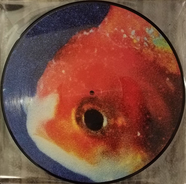 Autographed - Vince Staples – Big Fish Theory - Mint- 2 LP Record 2017 Def Jam Picture Disc Vinyl & Numbered - Hip Hop - Shuga Records