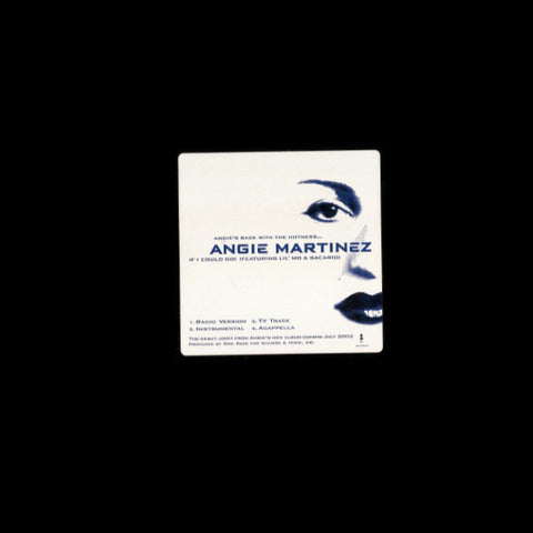 Angie Martinez - If I Could Go! VG - 12" Single 2002 Elektra USA - Hip Hop