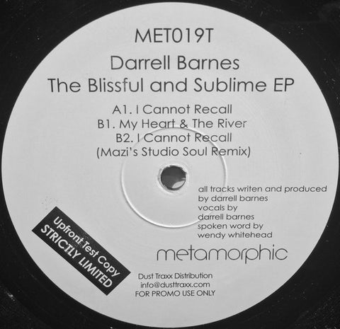 Darrell Barnes – The Blissful & Sublime EP - New 12" Single Record 2003 Metamorphic Promo Vinyl - Chicago House