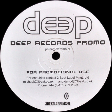 Rouzbeh Delavari – About You / 020227 - VG+ 12" Single Record 2003 Deep UK Vinyl - Progressive House