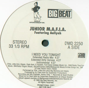 Junior M.A.F.I.A. Featuring Aaliyah – I Need You Tonight - Mint- 12" Promo Single Record 1995 Big Beat Vinyl - Hip Hop