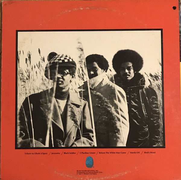 The Last Poets – Chastisment - VG+ LP Record 1967 Blue Thumb USA Promo Label Vinyl - Jazz / Free Jazz / Spoken Word - Shuga Records
