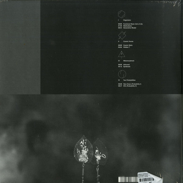 Enrico Sangiuliano ‎– Biomorph - New 2 LP Record 2018 Drumcode Sweden Import Vinyl - Techno / Experimental - Shuga Records