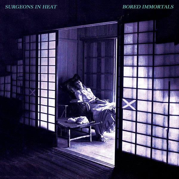 Dehd - Ne-Hi - Flamingo Rodep & More Shuga Records Chicago Label - 9 LP Set Bundle -  Rock - Shuga Records