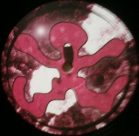 Dave Jarvis – Sqar Kaas E.P. - New 12" Single Record 1998 Maelstrom Germany Vinyl - Techno / Electro