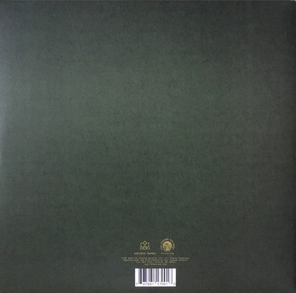Soccer Mommy - For Young Hearts - New LP Record Store Day 2019 Fat Possum USA RSD Green Smoke Vinyl & Poster - Indie Pop / Lo-Fi - Shuga Records