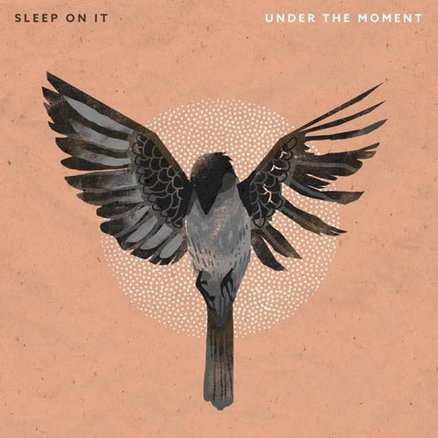 Sleep On It – Under The Moment - New 7" Single Record 2019 Equal Vision USA Flexi-disc Vinyl - Pop Punk