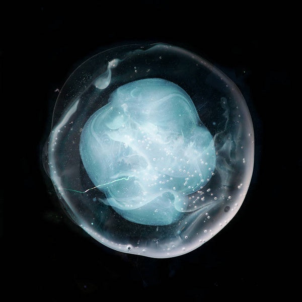 A Winged Victory For The Sullen – The Undivided Five - New LP Record 2019 UK Import Ninja Tune & Download - Ambient - Shuga Records