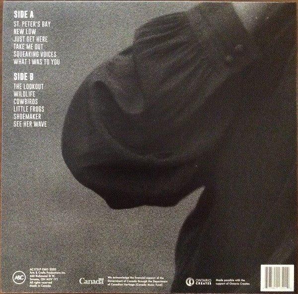 Sarah Harmer ‎– Are You Gone - New LP Record 2020 Arts & Crafts Canada Import Vinyl - Pop Rock - Shuga Records