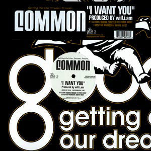 Common – I Want You - Mint- 12" SIngle USA 2007 (Promo) - Hip Hop