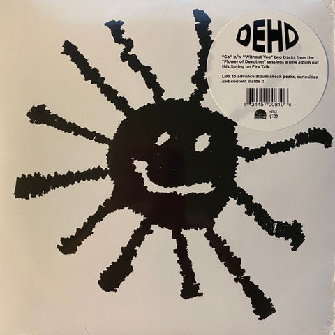 Dehd – Go / Without You - Mint- 7" Single Record 2020 Fire Talk USA Vinyl & Insert Seeds - Chicago Indie Rock