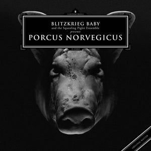 Blitzkrieg Baby And The Squealing Piglet Ensemble – Porcus Norvegicus (2013) - New LP Record 2020 Cloister Recordings USA Vinyl - Electronic / Industrial