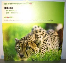 DJ Debra – Jah Love / Give A Little More - New 12" Single Record 2000 Wildlife USA Netherlands Import Vinyl - House