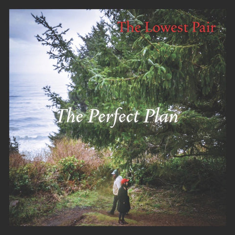 The Lowest Pair ‎– The Perfect Plan - Mint- LP Record 2020 Delicata USA Vinyl & Download - Folk / Bluegrass