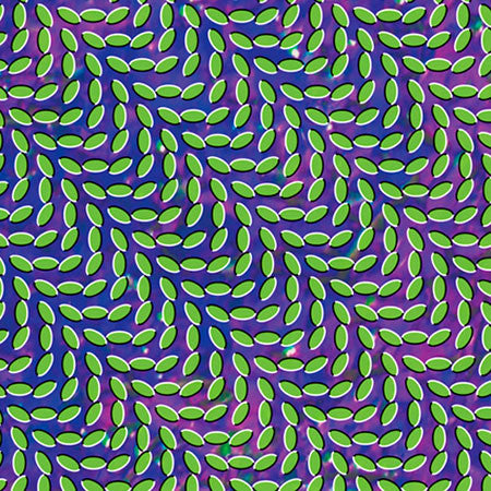 Animal Collective - Merriweather Post Pavilion - New 2 Lp Record 2009 Domino USA 180 Gram Vinyl & Download - Psychedelic Rock / Indie Rock / Experimental