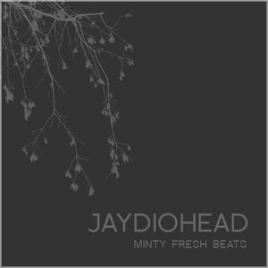 Minty Fresh Beats / Max Tannone - Jay-Z vs Radiohead - Jaydiohead - New LP Record 2009 Self Released Random Colored Vinyl - Hip Hop
