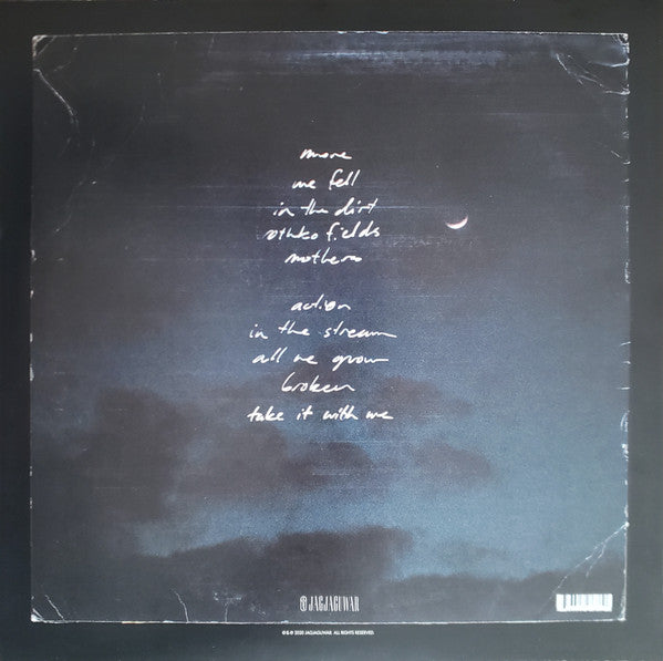 S. Carey – All We Grow (2010) - New LP Record 2020 Jagjaguwar Secretly Society Club Blue Ocean Wave Vinyl & Download - Alternative Rock / Indie Rock - Shuga Records