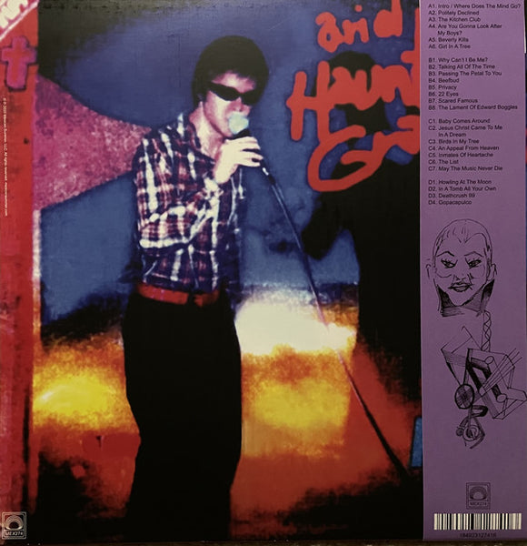 Ariel Pink's Haunted Graffiti ‎– Scared Famous/FF>> - New 2 LP Record 2021 Mexican Summer USA Vinyl - Indie Rock / Lo-Fi - Shuga Records