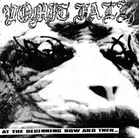 Vomit Fall – At The Beginning Now And Then... - Mint- 7" EP Record 2000 View Beyond Czech Republic Vinyl & Insert - Grindcore