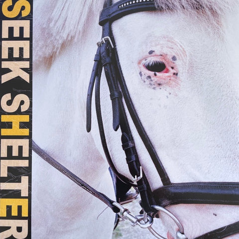 Iceage ‎– Seek Shelter - Mint- LP Record 2021 Mexican Summer USA Translucent Orange Vinyl & Download - Punk / Post-Punk / Hardcore
