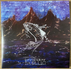 David Gray – Skellig - New 2 LP Record 2021 AWAL Recordings Europe Vinyl & Download - Pop Rock - Shuga Records
