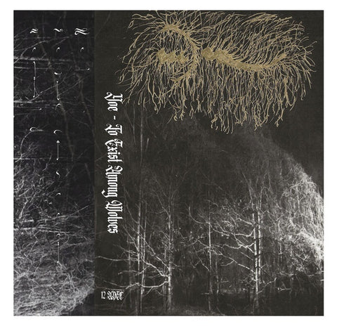 Yoe – To Exist Among Wolves - New Cassette Tape 2021 American Decline Chicago USA - Black Metal / Avant-garde Jazz