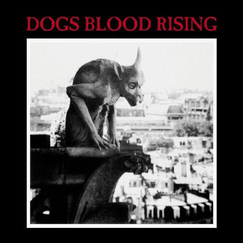 Current 93 – Dogs Blood Rising (1984) - Mint- LP Record 2008 Durtro Jnana UK Red Vinyl & 2x Inserts - Electronic / Industrial / Experimental - Shuga Records