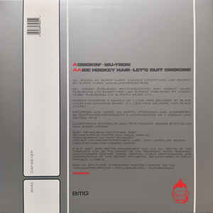 Super Furry Animals ‎– Ice Hockey Hair EP (1998) - New EP Record Store Day 2021 BMG RSD Europe Import Vinyl - Psychedelic Rock / Indie Rock - Shuga Records