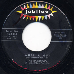 The Raindrops ‎– What A Guy / It's So Wonderful - VG+ 7" Record 45 Single 1963 USA Original - Pop / Soul - Shuga Records