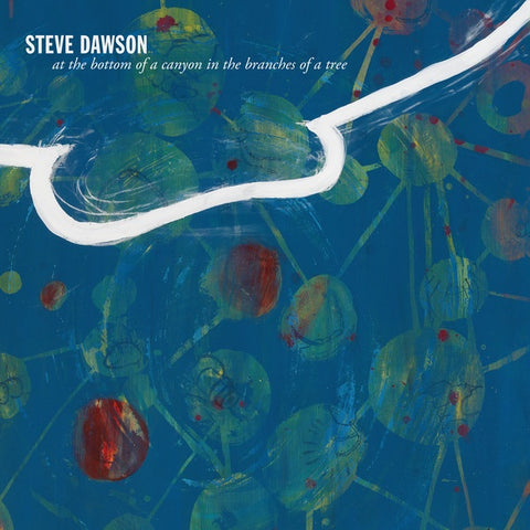 Steve Dawson – At The Bottom Of A Canyon In The Branches Of A Tree - New LP Record 2021 Pravada Vinyl - Chicago Folk / Acoustic