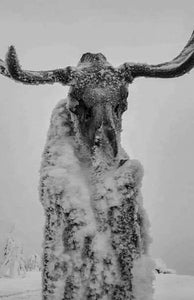 Temple Of Tiermes – Self Overcoming - New Cassette 2022 Badhuman Tape - Electronic / Drone / Dark Ambient - Shuga Records