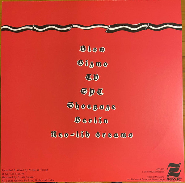 Soursob - Soursob - New LP Record 2021 HoZac USA Vinyl & Download - Rock / Lo-Fi / Post-Punk - Shuga Records