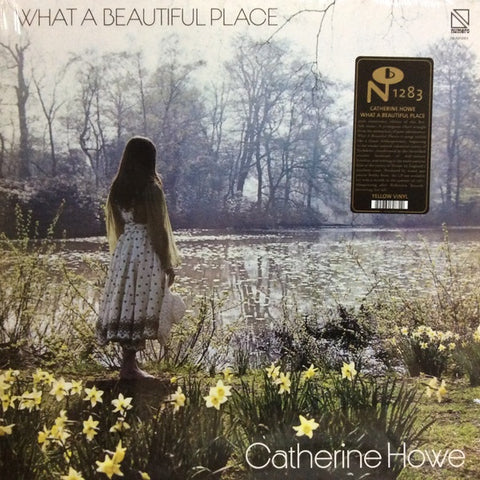 Catherine Howe – What A Beautiful Place (1971) - New LP Record 2021 Numero Group Yellow Vinyl - Folk
