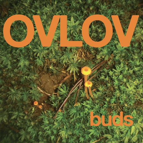 Ovlov – Buds - New LP Record 2021 Exploding In Sound Vinyl - Indie Rock / Post-Punk