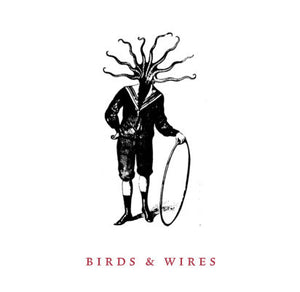 Birds And Wires ‎– Untitled - New Vinyl Record 2009 (Washington D.C. Local Band)(Grey Swirl Vinyl 300 Made with Download and Insert) - Hardcore/Punk/Indie