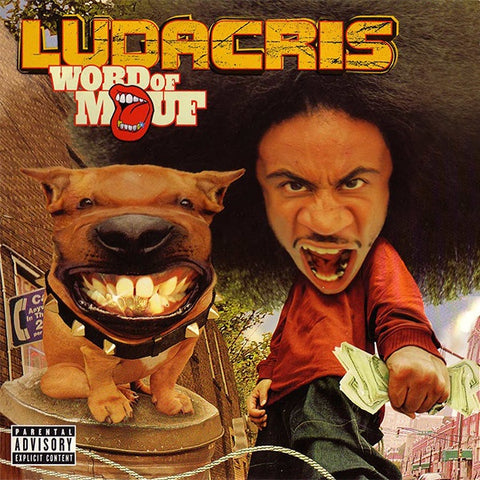 Ludacris ‎– Word Of Mouf - VG+ 2 LP Record 2001 Def Jam Viny Vinyl & Booklet - Hip Hop