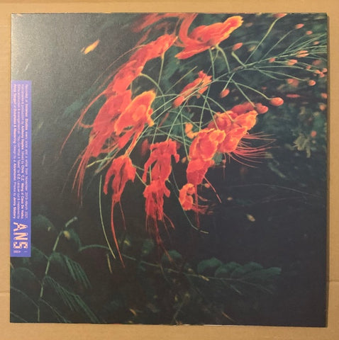 Anthony Naples – Chameleon - New LP Record 2022 ANS Vinyl - Electronic / Ambient / Krautrock/ Downtempo