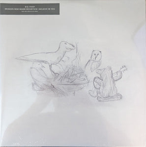 Big Thief – Dragon New Warm Mountain I Believe In You - New 2 LP Record 2022  4AD Eco-Mix Recycled  - Indie Rock / Folk Rock
