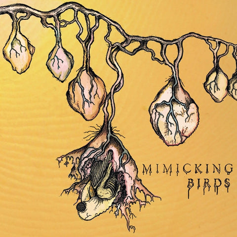 Mimicking Birds - Mimicking Birds - New Lp Record 2009 Glacial Pace USA 180 gram Vinyl & Download - Indie Rock / Acoustic