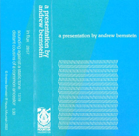 Andrew Bernstein – A Presentation - New Cassette 2022 Hausu Mountain Tape - Electronic / Drone / Saxophone