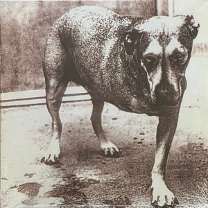 Alice In Chains ‎– Alice In Chains Tripod Three Legged Dog (1995) - New 2 LP Record 2022 Columbia Yellow Vinyl & Poster Insert - Grunge / Rock - Shuga Records