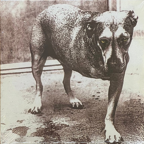 Alice In Chains ‎– Alice In Chains Tripod Three Legged Dog (1995) - New 2 LP Record 2022 Columbia Yellow Vinyl & Poster Insert - Grunge / Rock