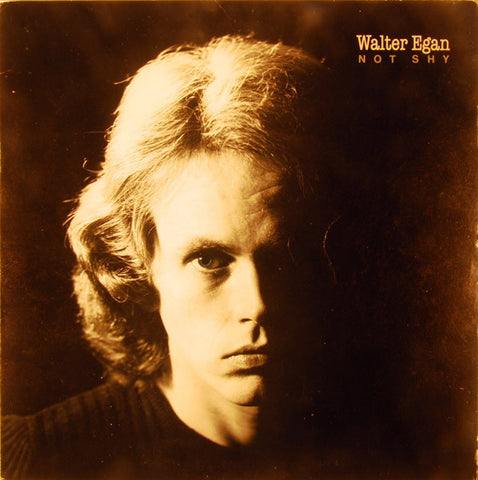 Walter Egan - Not Shy - VG+ 1978 USA Rock/Pop