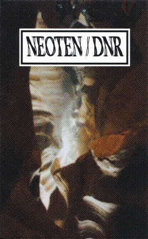 Neoten / DNR – Neoten / DNR - New Cassette Album 2021 Recluse Activity USA Gold Tape - Electronic / Power Electronics / Noise