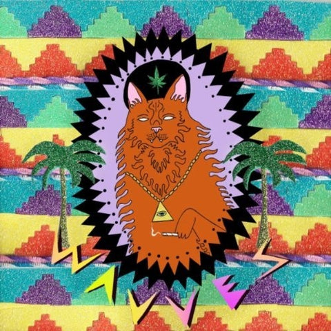 Wavves - King of the Beach - Mint- LP Record 2010 Fat Possum Vinyl & Insert - Surf Rock / Psychedelic Rock