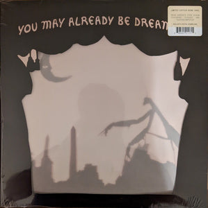 Neva Dinova - You May Already Be Dreaming (2008) - New LP Record 2022 Saddle Creek Opaque Bone Vinyl - Indie Rock
