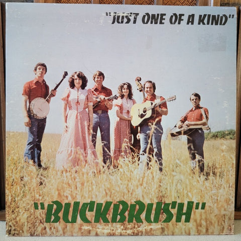 Buckbrush – Just One Of A Kind - Mint- LP Record 1977 Obenshield USA Outsider Private Press Vinyl - Country / Bluegrass